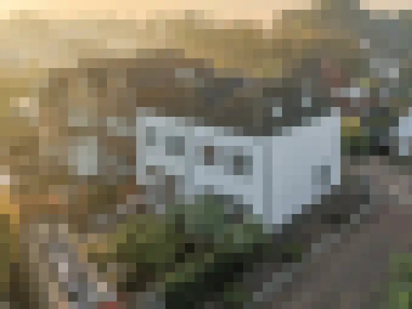 Groot Westerbuiten 26 in Edam