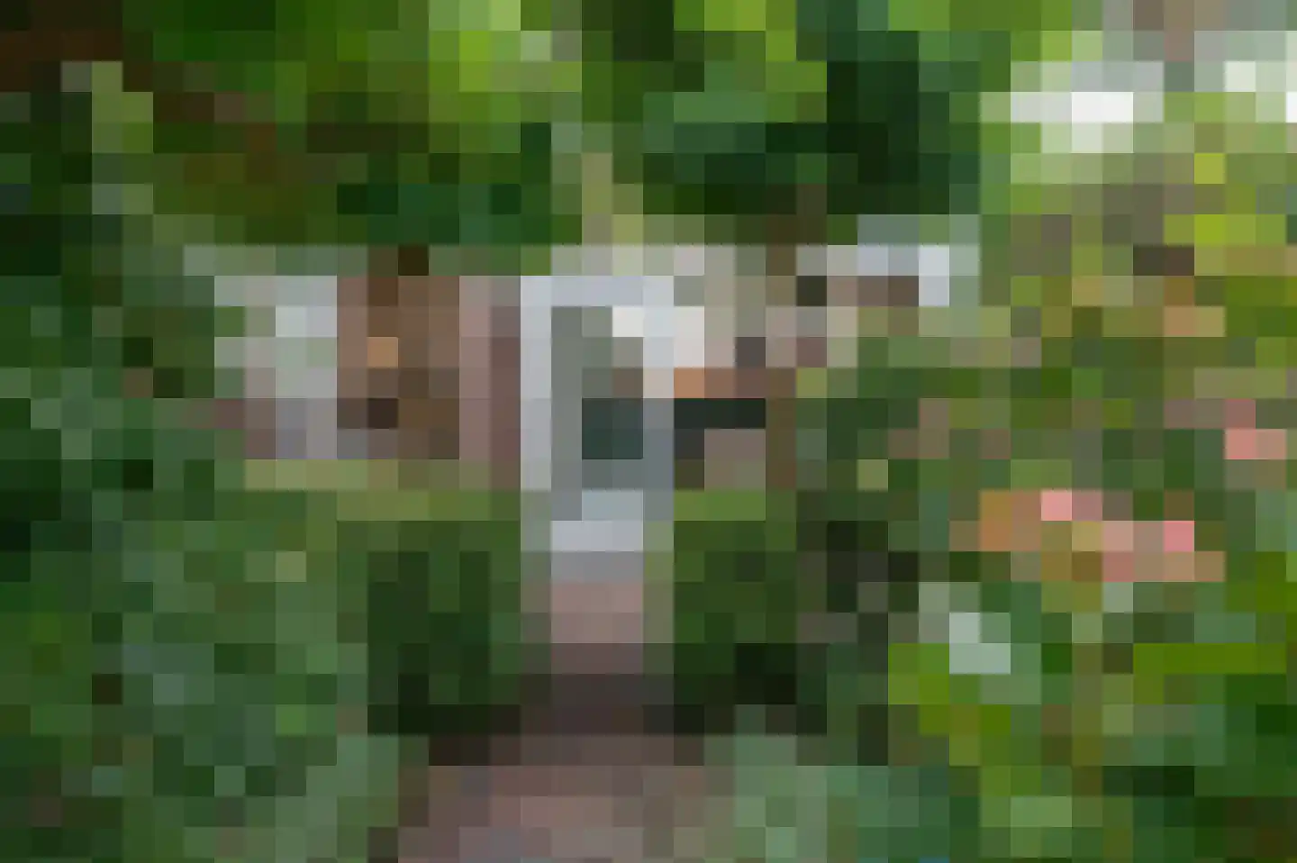 Groot Westerbuiten 26 Edam thumbnail 45