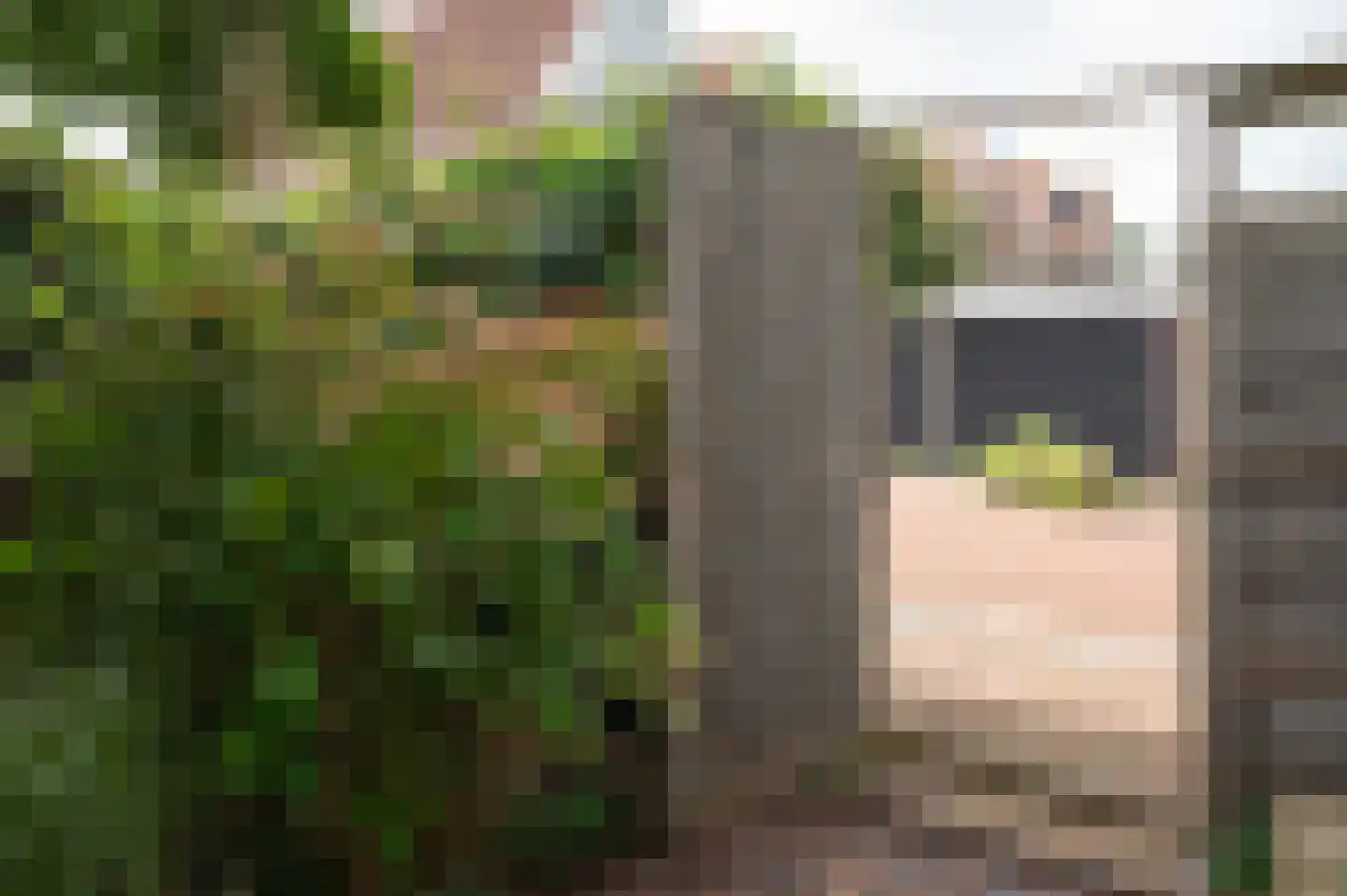 Groot Westerbuiten 26 Edam thumbnail 46