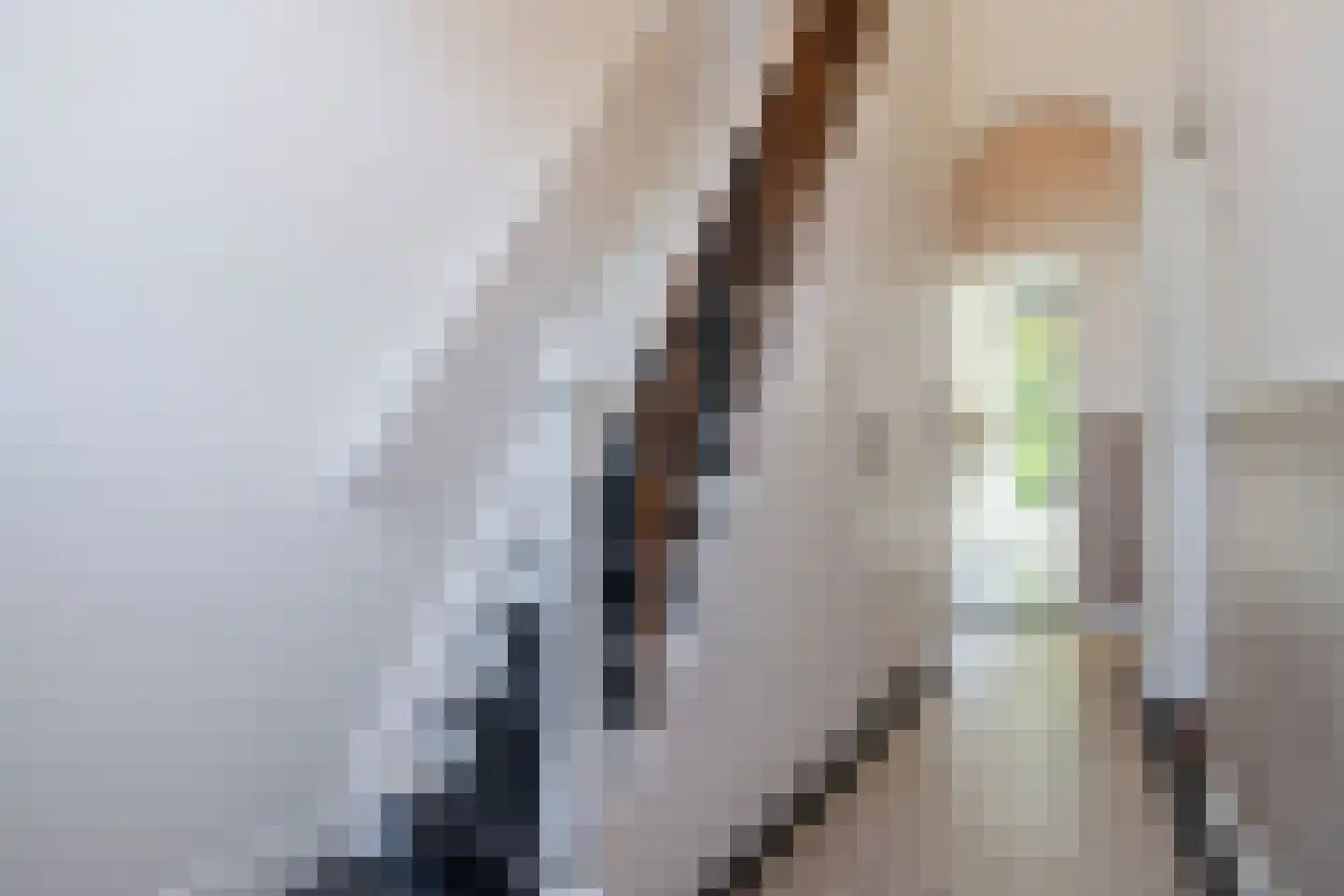 Groot Wezenland 13 Zwolle thumbnail 22