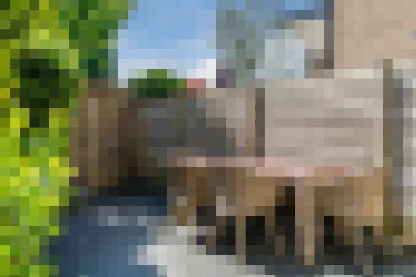 Groot Wezenland 13 Zwolle thumbnail 41