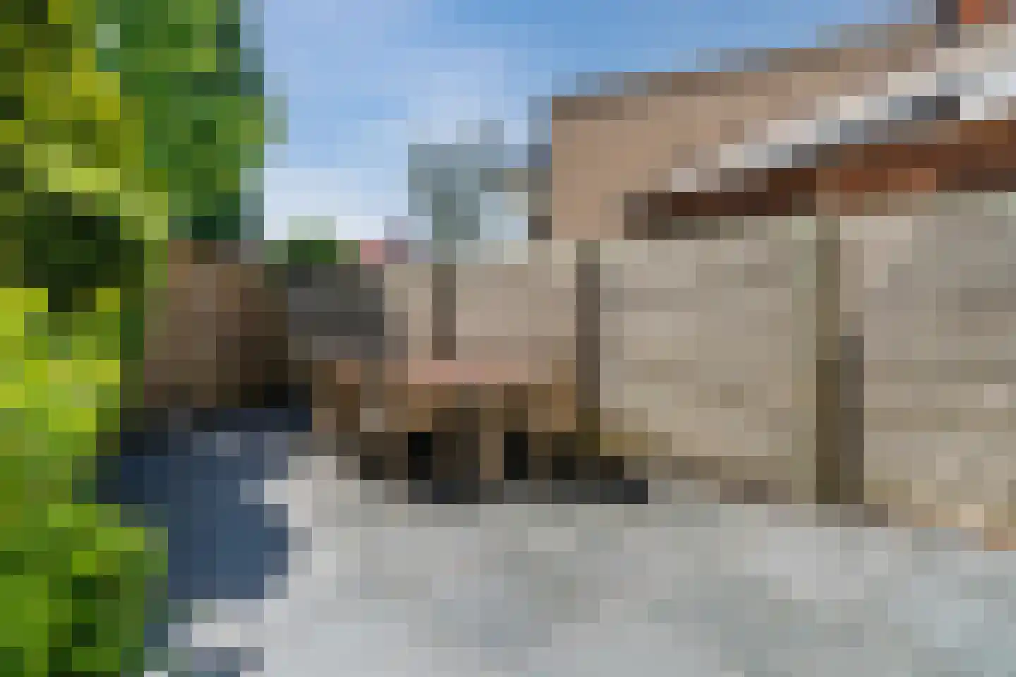 Groot Wezenland 13 Zwolle thumbnail 42