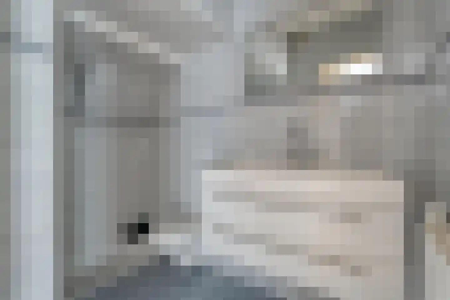 Groot Wezenland 14 Zwolle thumbnail 21