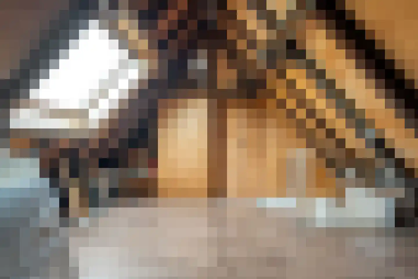 Groot Wezenland 14 Zwolle thumbnail 24