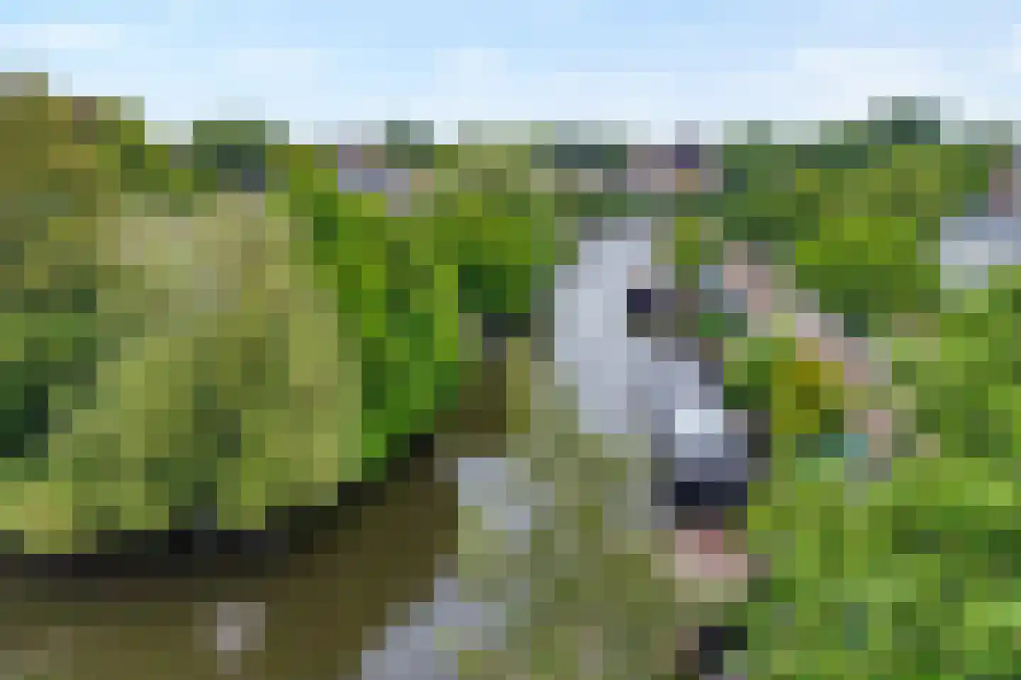 Groot Wezenland 14 Zwolle thumbnail 6