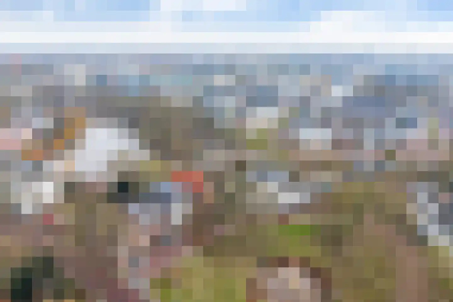 Groot Wezenland 43 Zwolle thumbnail 16