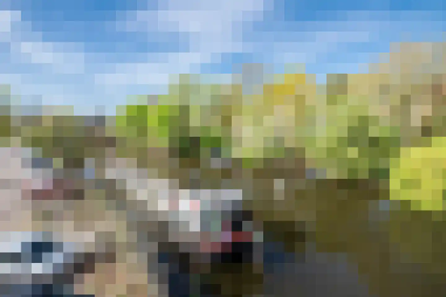 Groot Wezenland 47 Zwolle thumbnail 19