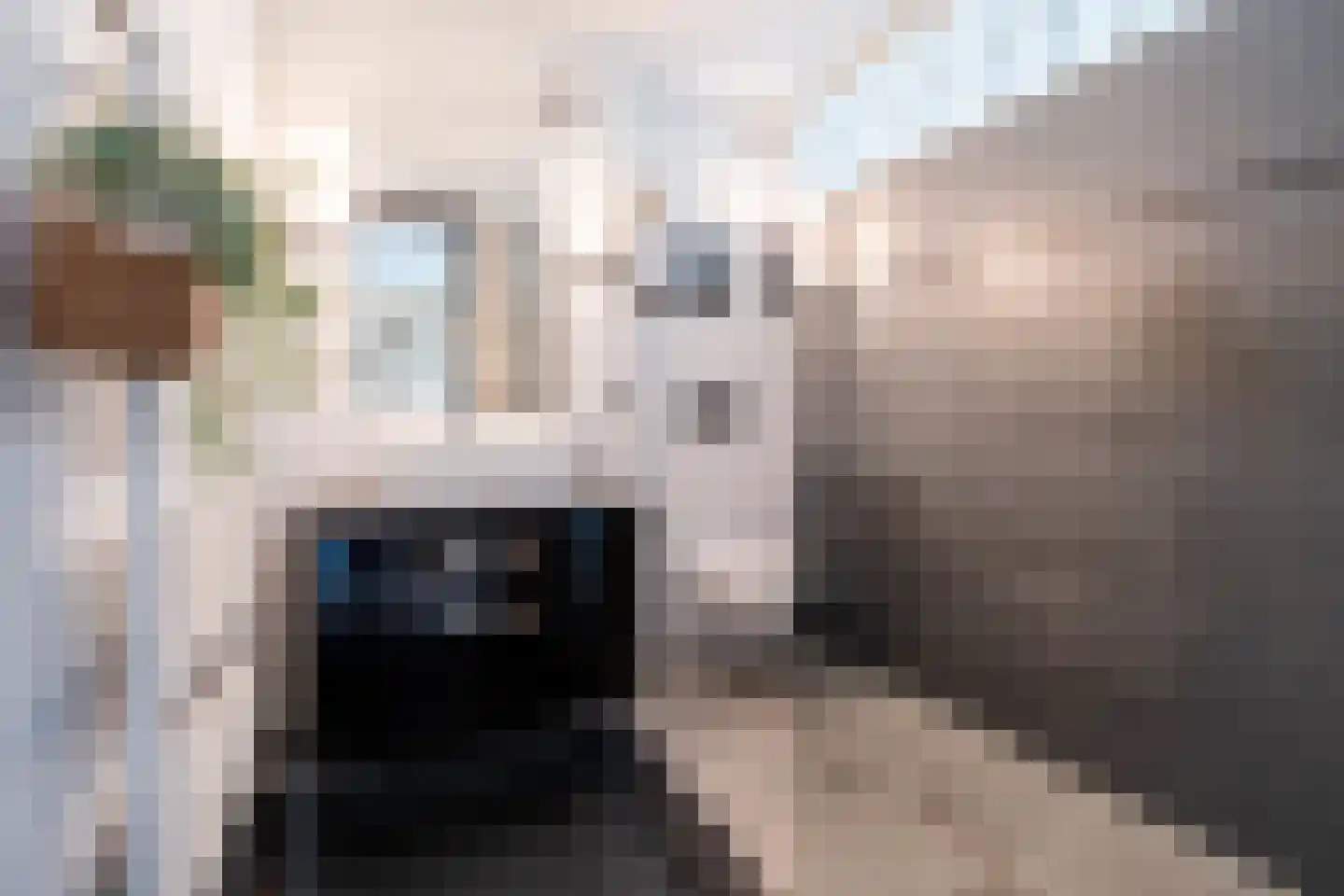 Groot Ypelaardreef 22 Breda thumbnail 28
