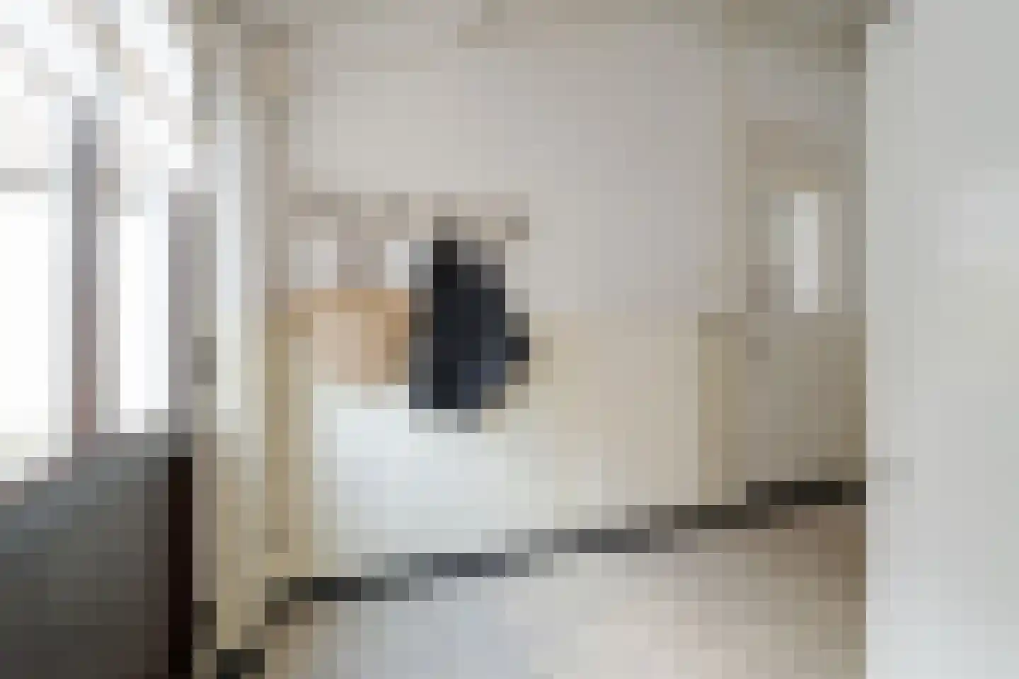 Groot Ypelaardreef 29 Breda thumbnail 17