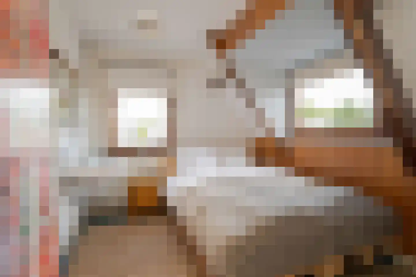 Groot Ypelaardreef 29 Breda thumbnail 29