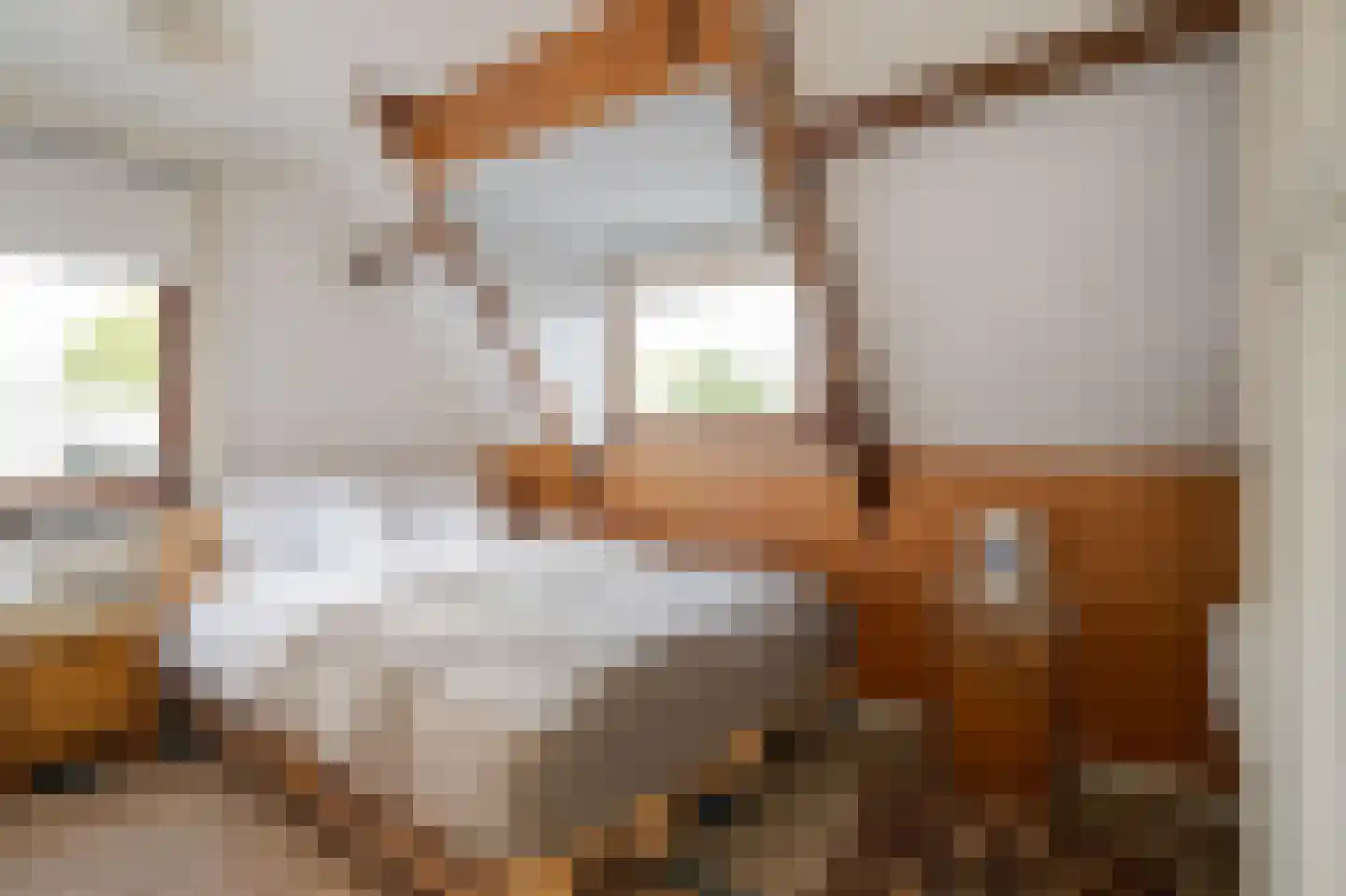 Groot Ypelaardreef 29 Breda thumbnail 30