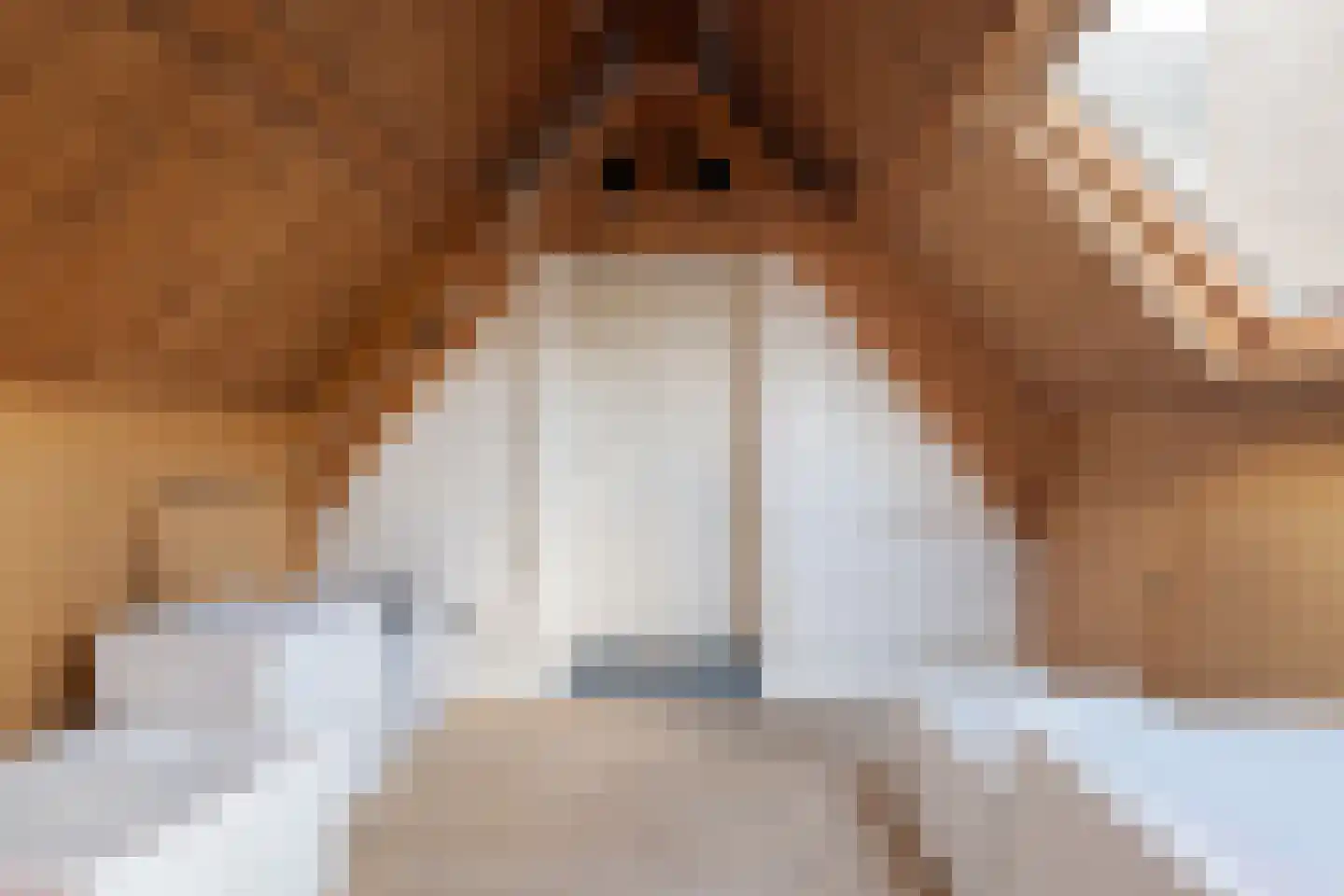 Groot Ypelaardreef 29 Breda thumbnail 34