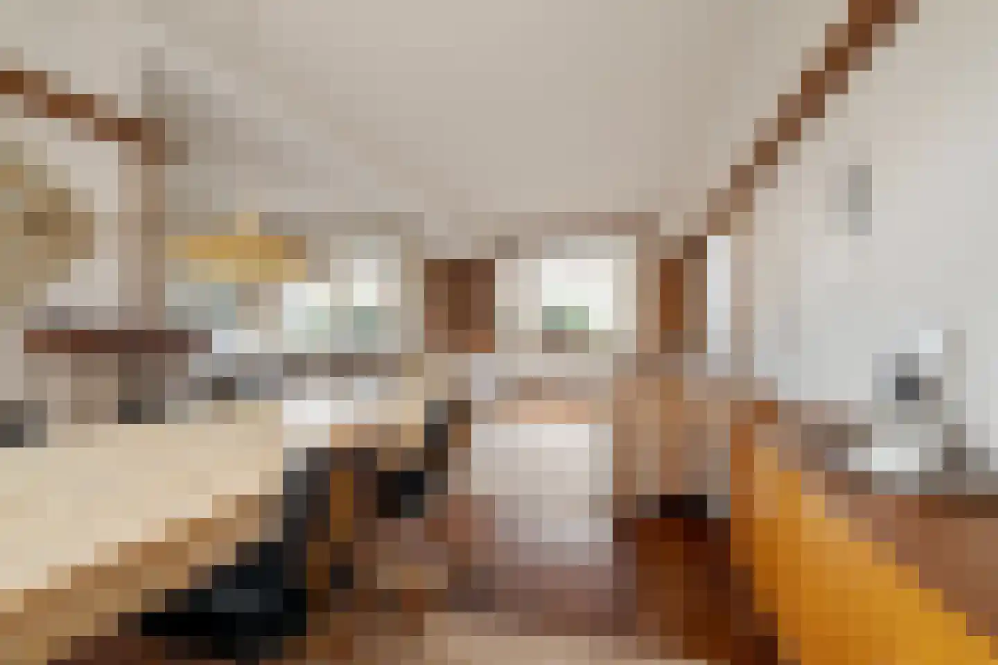 Groot Ypelaardreef 29 Breda thumbnail 4