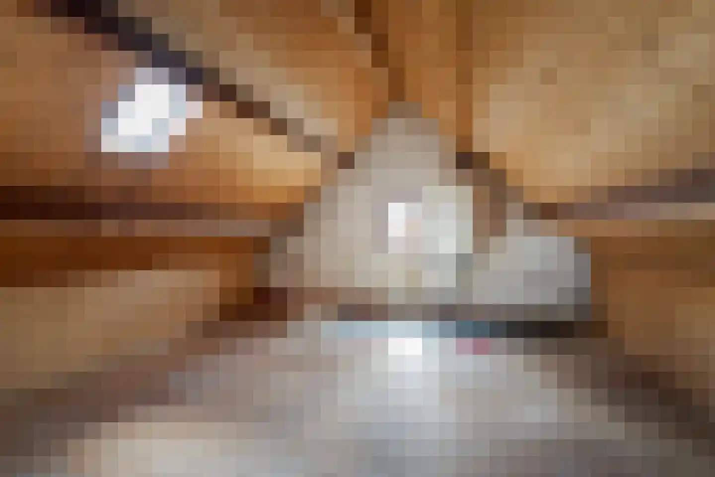 Groot Ypelaardreef 29 Breda thumbnail 40