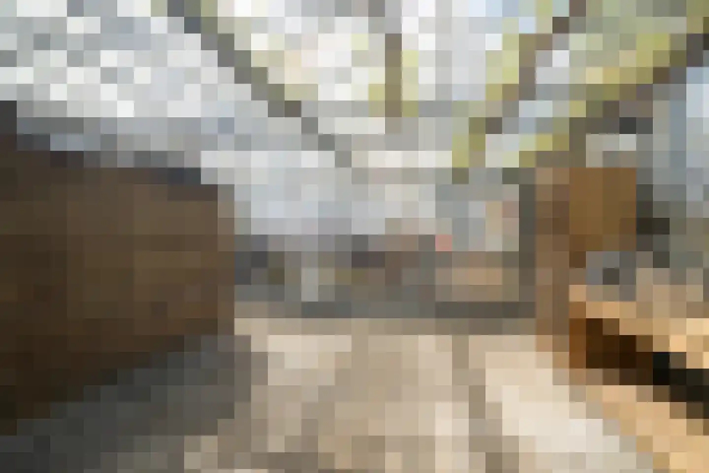Groot Ypelaardreef 29 Breda thumbnail 48
