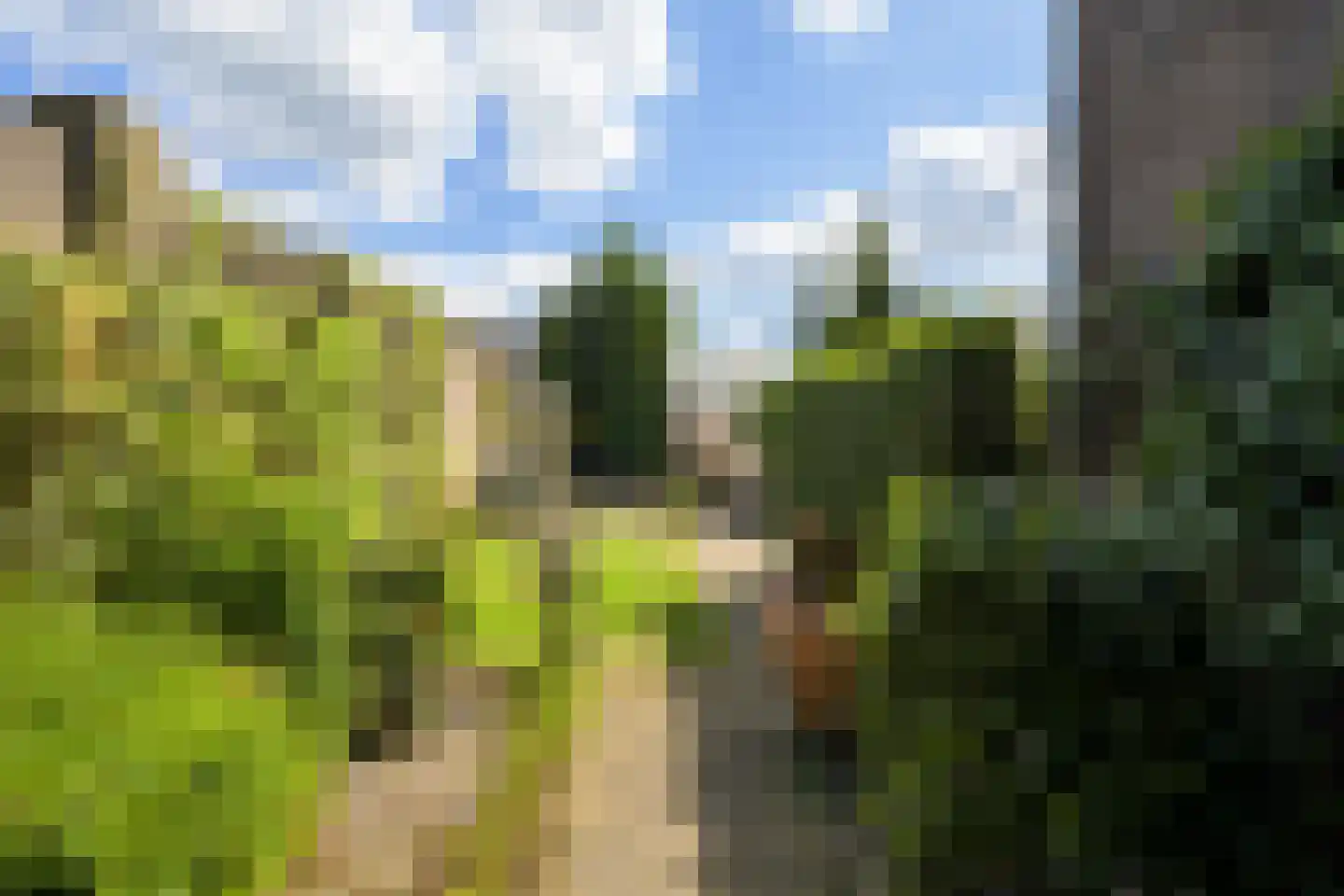 Groot Ypelaardreef 29 Breda thumbnail 49