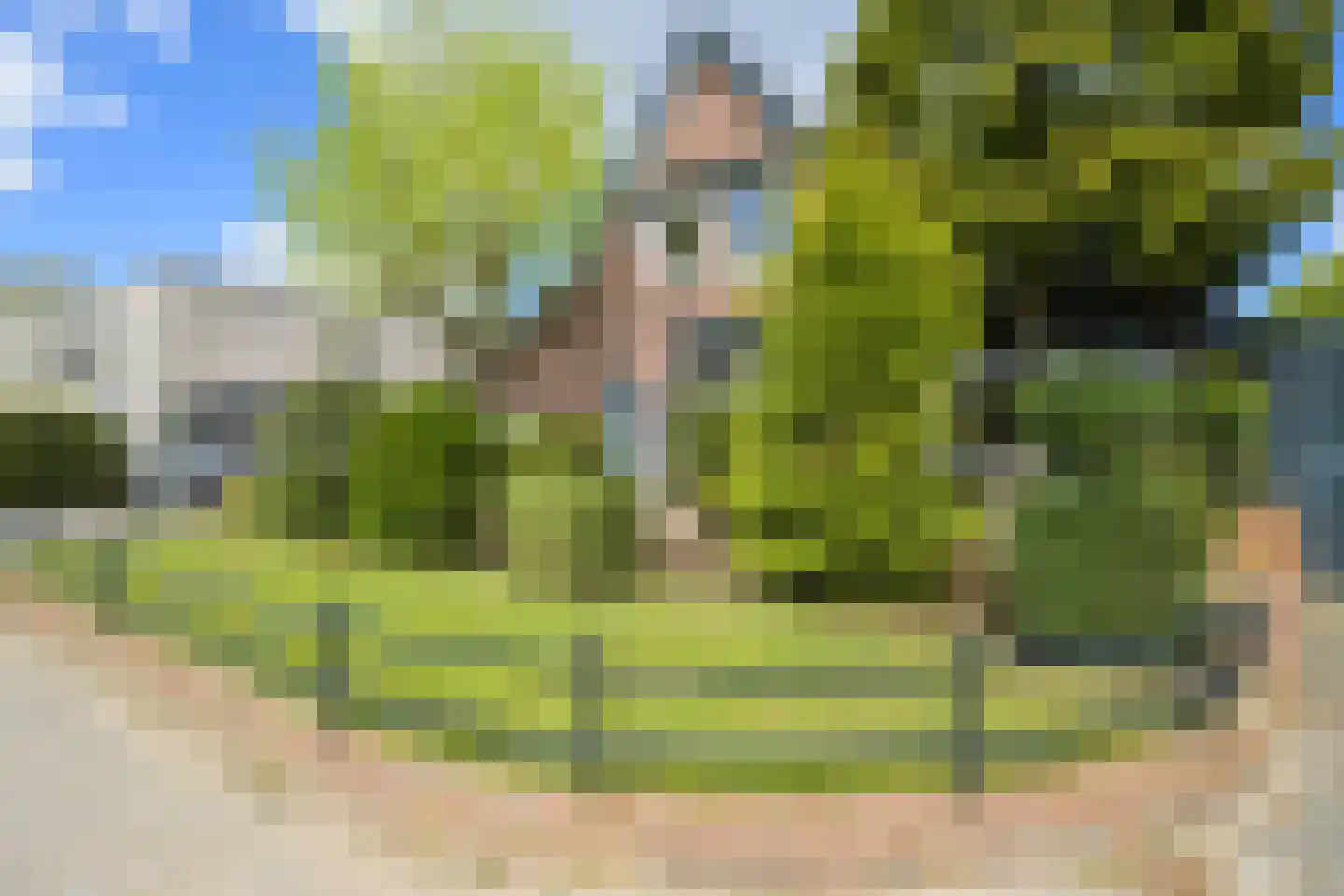 Groot Ypelaardreef 29 Breda thumbnail 51