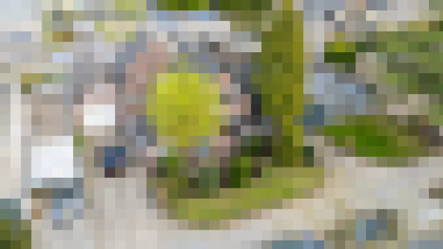 Groot Ypelaardreef 29 Breda thumbnail 55