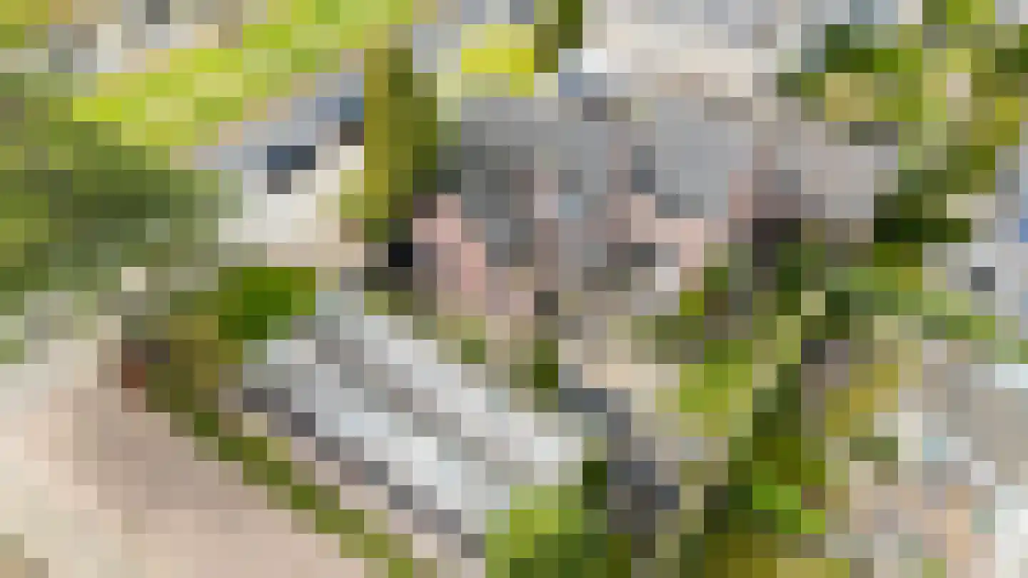Groot Ypelaardreef 29 Breda thumbnail 56
