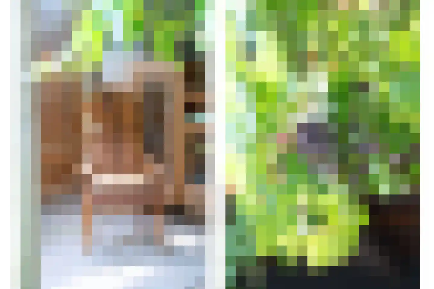Groot Ypelaardreef 64 Breda thumbnail 17