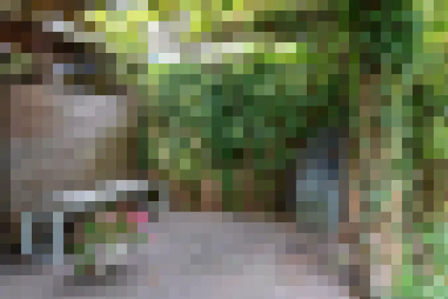 Groot Ypelaardreef 64 Breda thumbnail 18