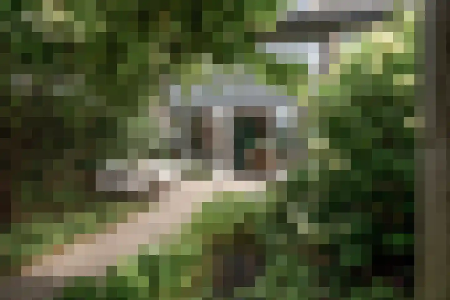 Groot Ypelaardreef 64 Breda thumbnail 19