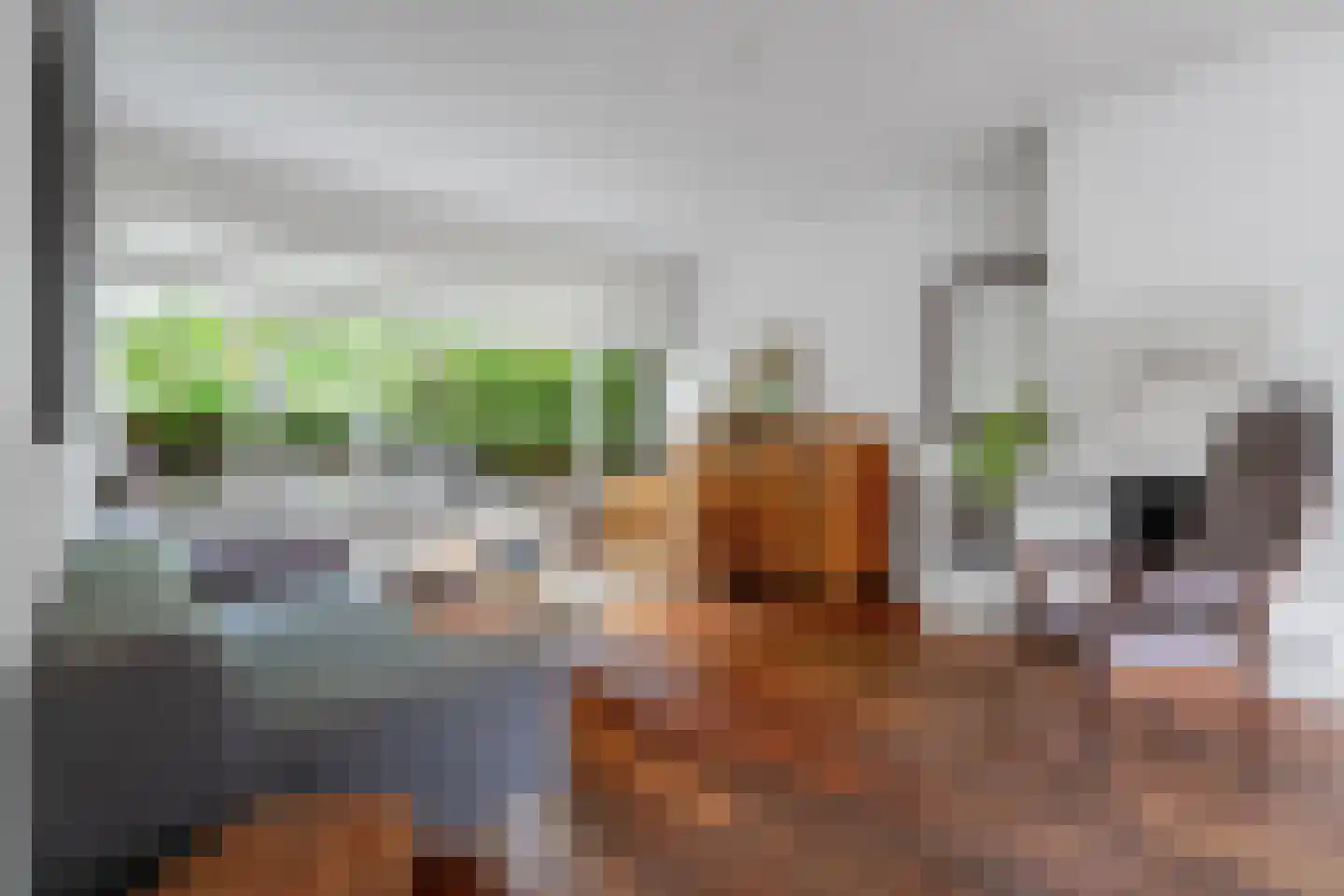 Groot Ypelaardreef 64 Breda foto 2