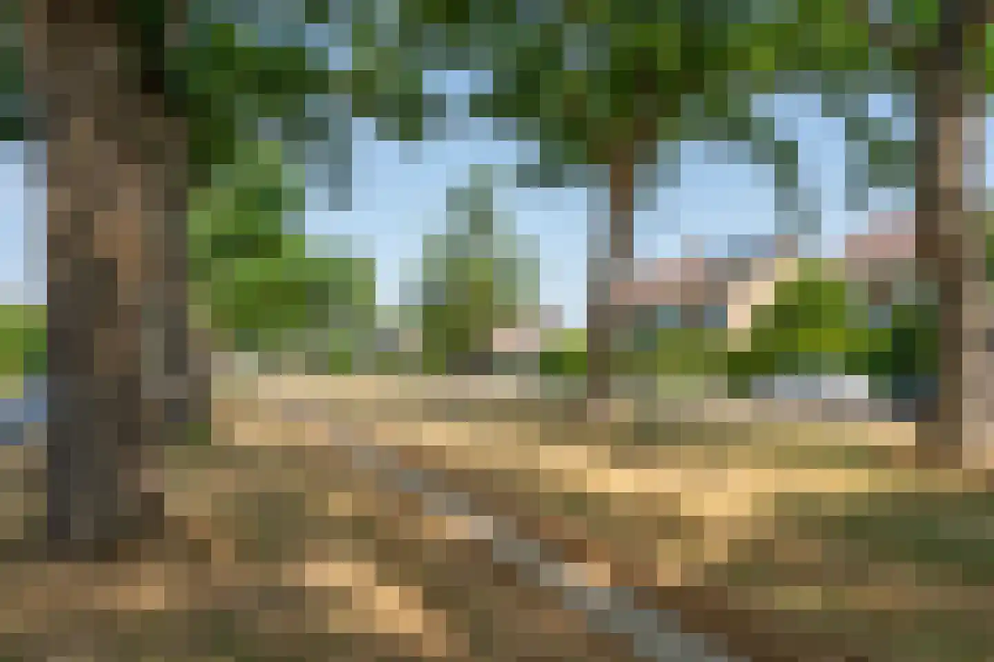 Groot Ypelaardreef 64 Breda thumbnail 36