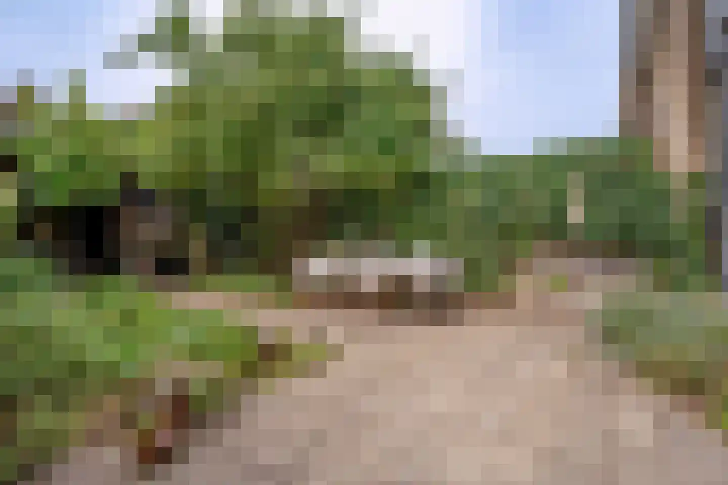 Groot Ypelaardreef 64 Breda thumbnail 4