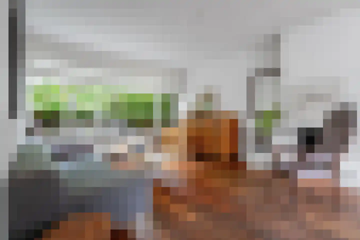 Groot Ypelaardreef 64 Breda thumbnail 6