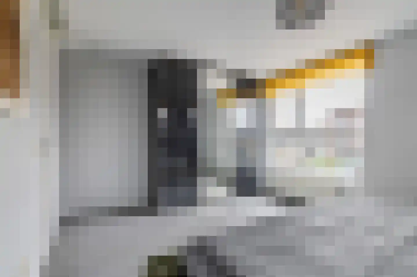 Groot Ypelaardreef 7 Breda thumbnail 29