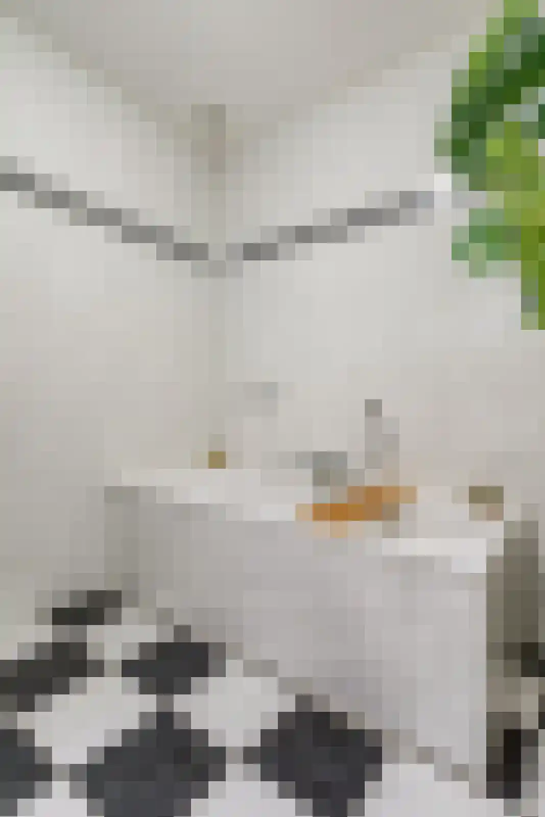 Groot Ypelaardreef 7 Breda thumbnail 35
