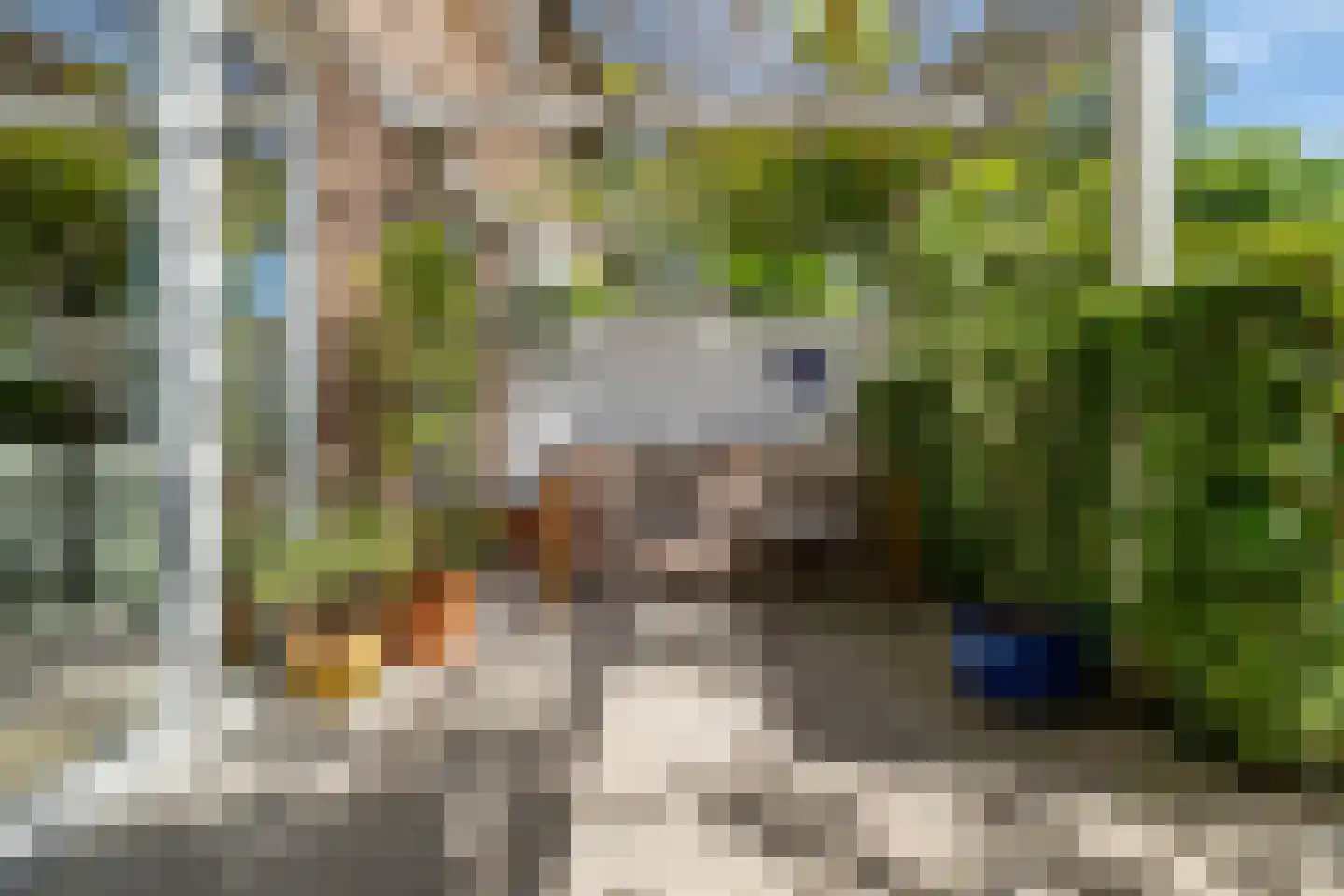 Groot Ypelaardreef 76 Breda thumbnail 22