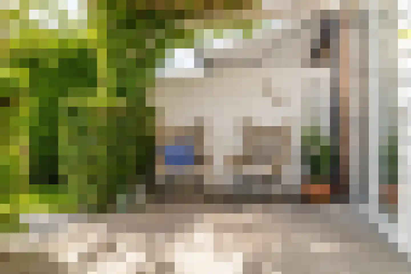Groot Ypelaardreef 76 Breda thumbnail 24
