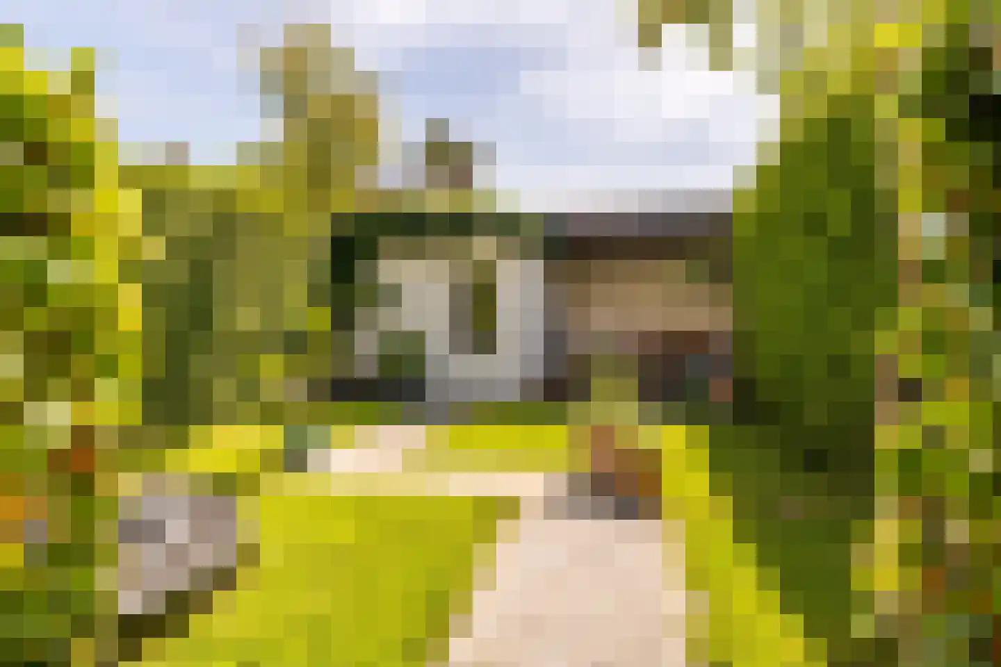 Groot Ypelaardreef 76 Breda thumbnail 5