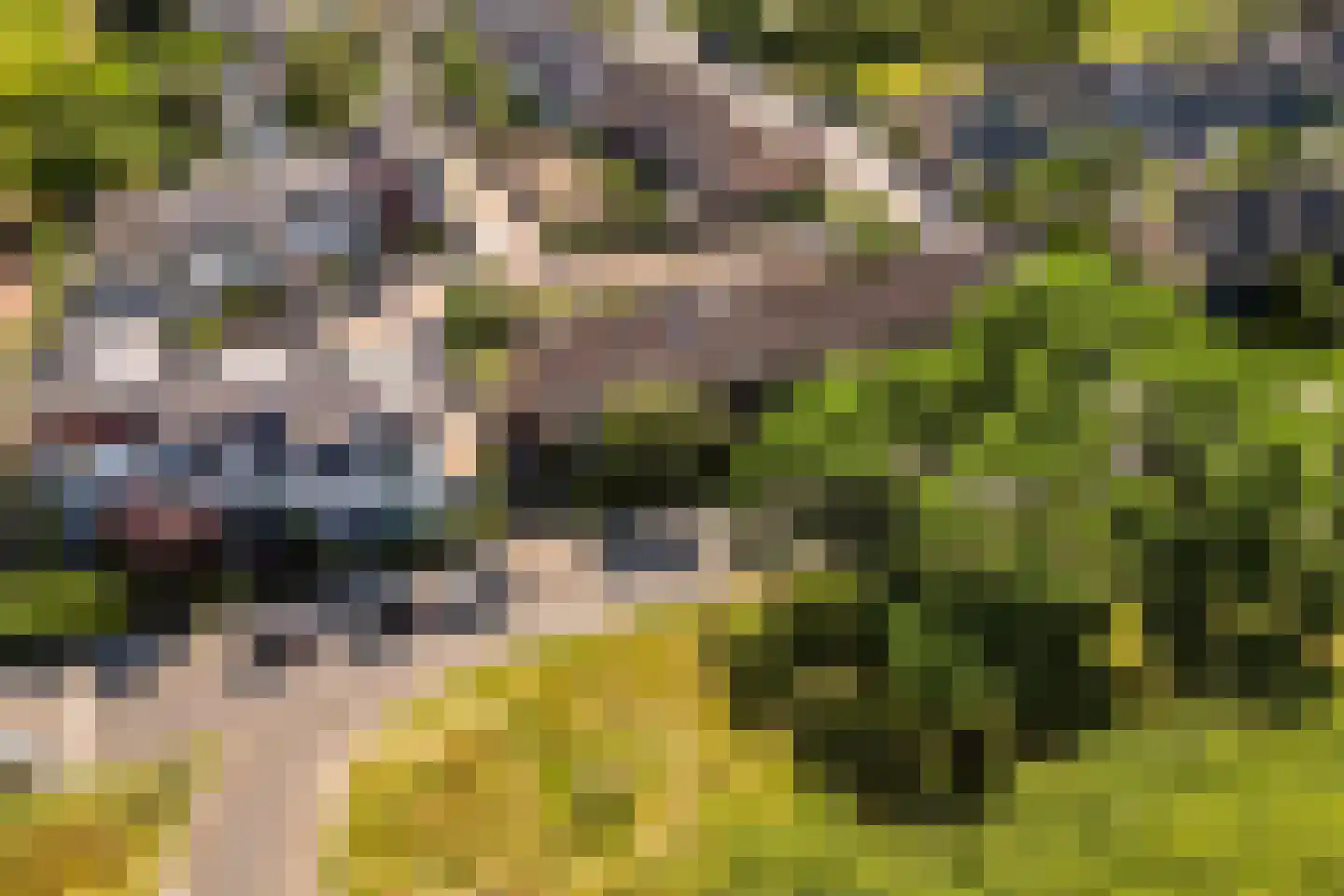 Groot Ypelaardreef 76 Breda thumbnail 53
