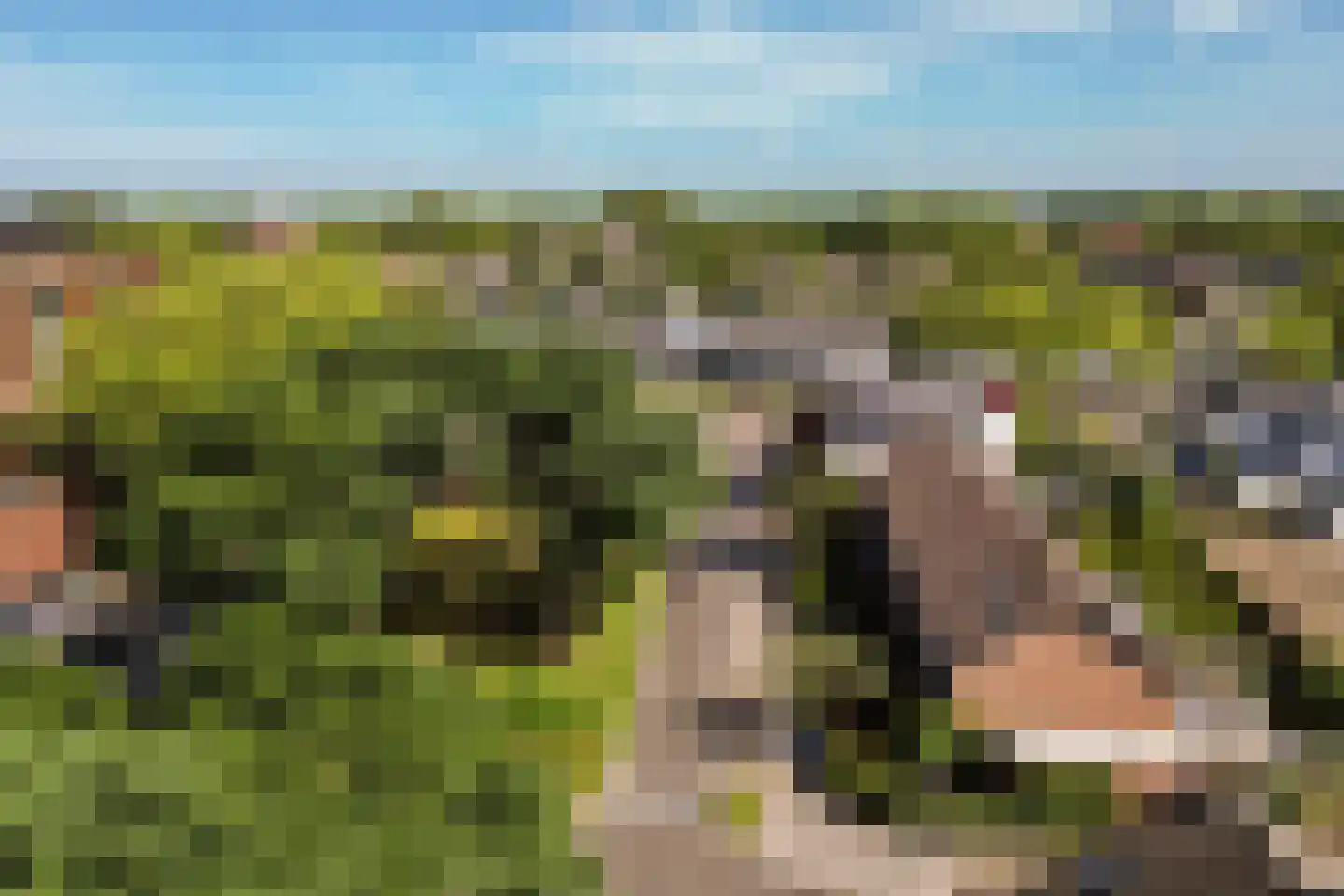 Groot Ypelaardreef 76 Breda thumbnail 54