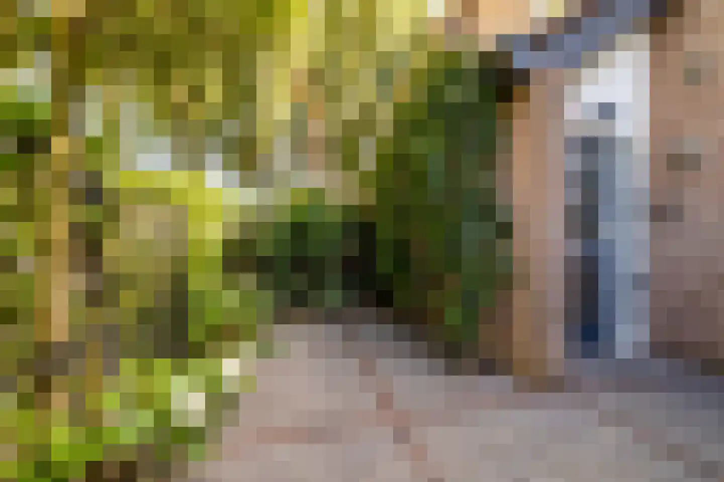 Groot Ypelaardreef 76 Breda thumbnail 7