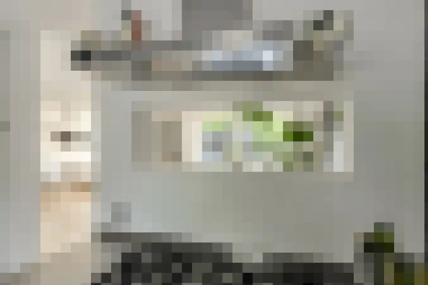 Groot Zand 6 Breda thumbnail 18