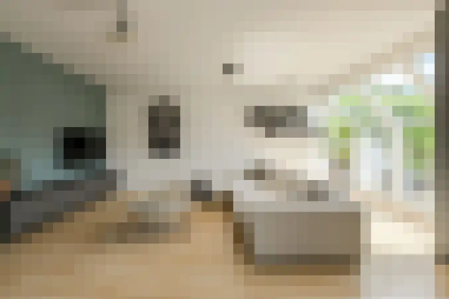 Groot Zand 6 Breda thumbnail 6