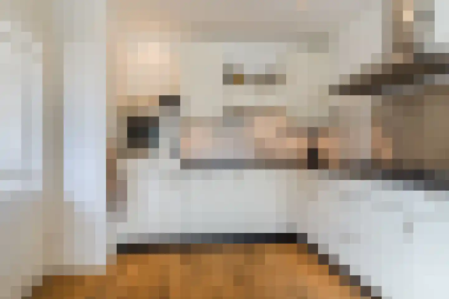 Groot-Zuideveld 15 Dussen thumbnail 13