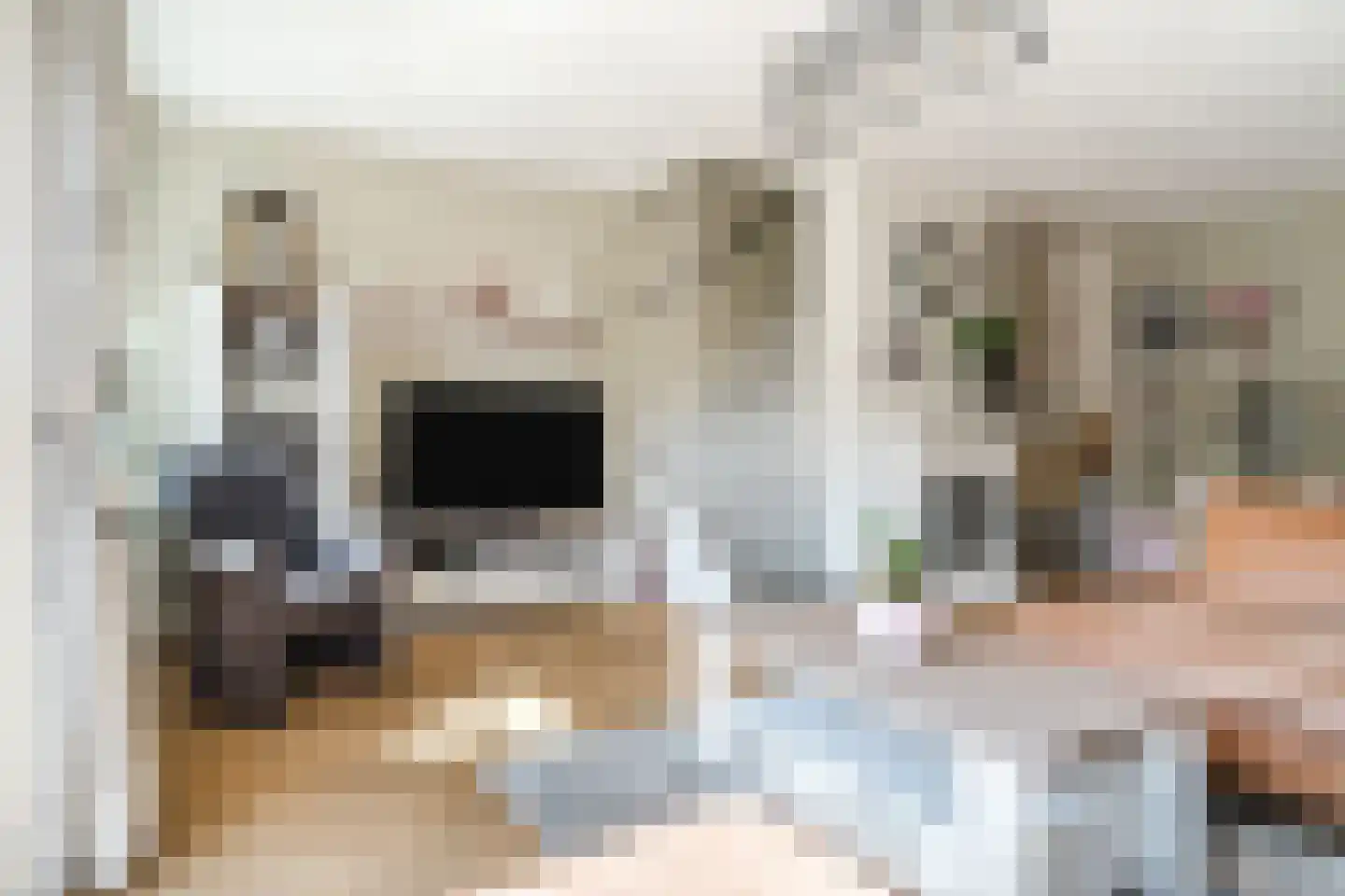 Groot-Zuideveld 15 Dussen thumbnail 8