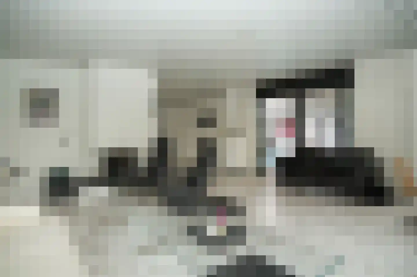 Groot-Zuideveld 31 Dussen thumbnail 10