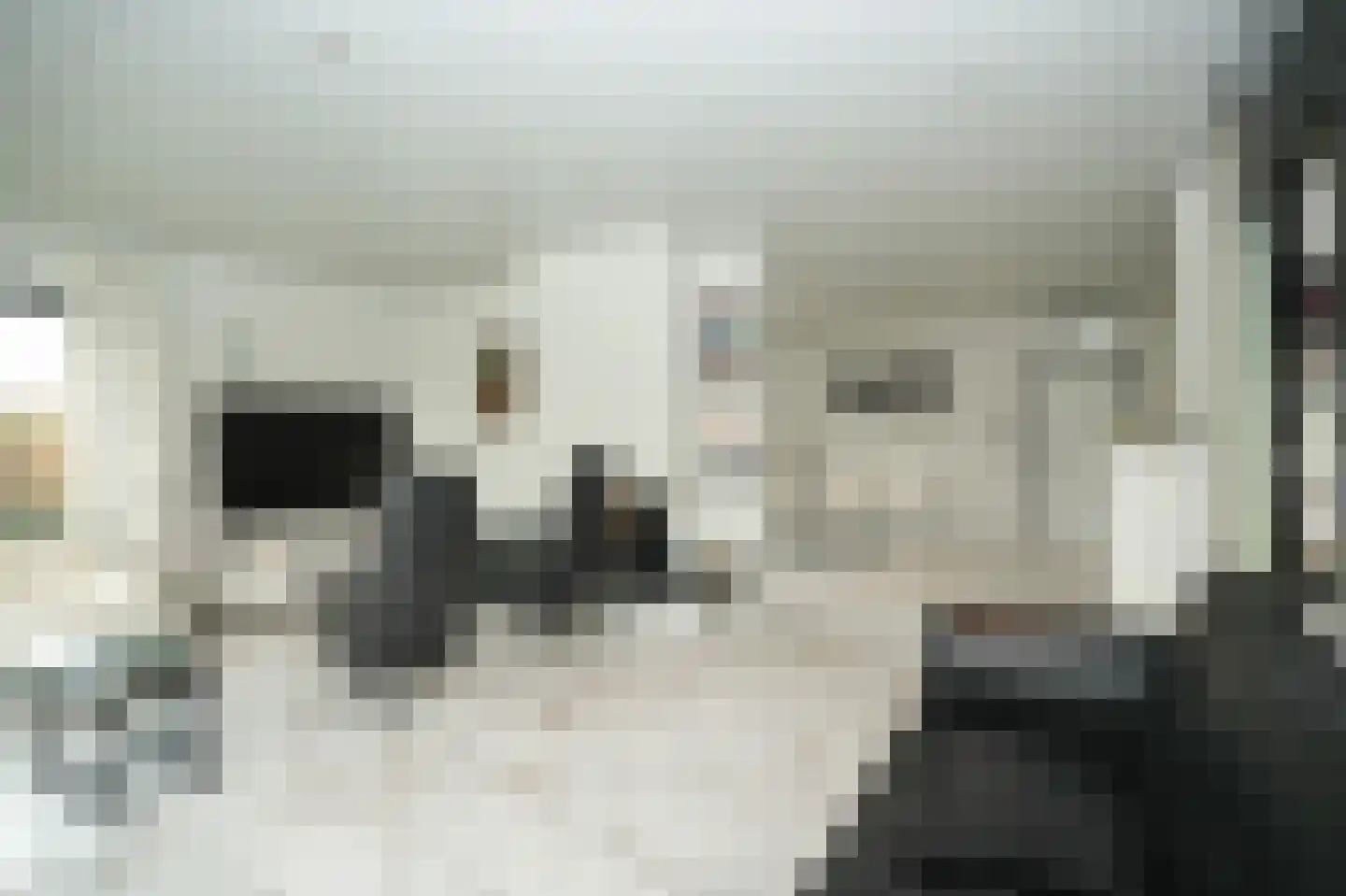 Groot-Zuideveld 31 Dussen thumbnail 11
