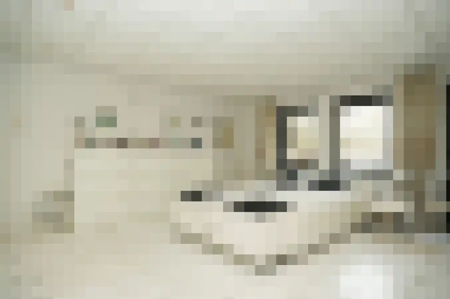 Groot-Zuideveld 31 Dussen thumbnail 23