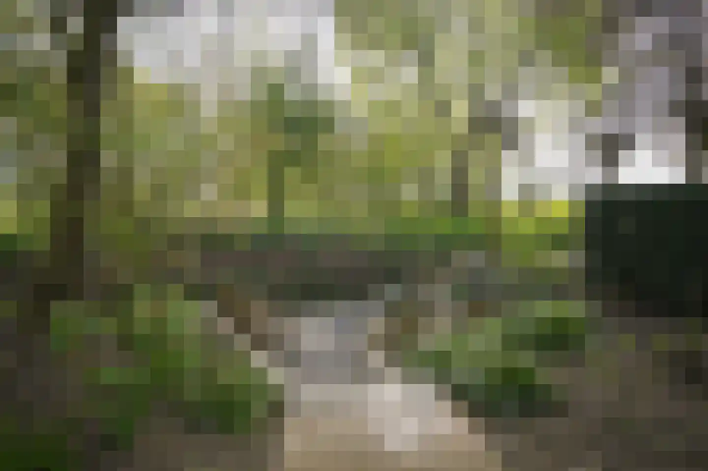 Groot-Zuideveld 31 Dussen thumbnail 39