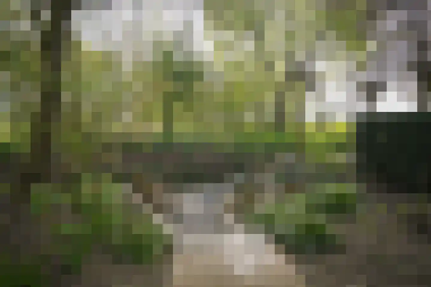 Groot-Zuideveld 31 Dussen thumbnail 41