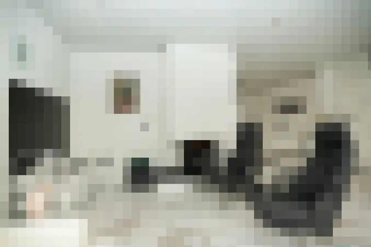 Groot-Zuideveld 31 Dussen thumbnail 8