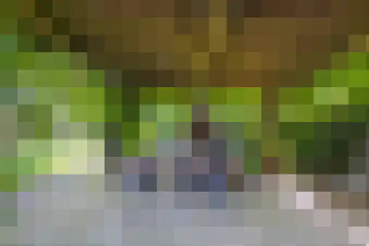 Groot-Zuideveld 35 Dussen thumbnail 40