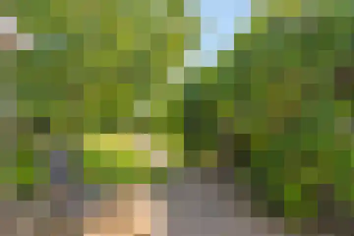 Groot-Zuideveld 35 Dussen thumbnail 41